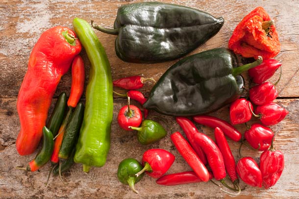 Chili Sorten (Bild: fotolia) Chili