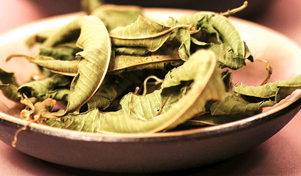 Verveine citronnelle séchée Verveine citronnelle séchée