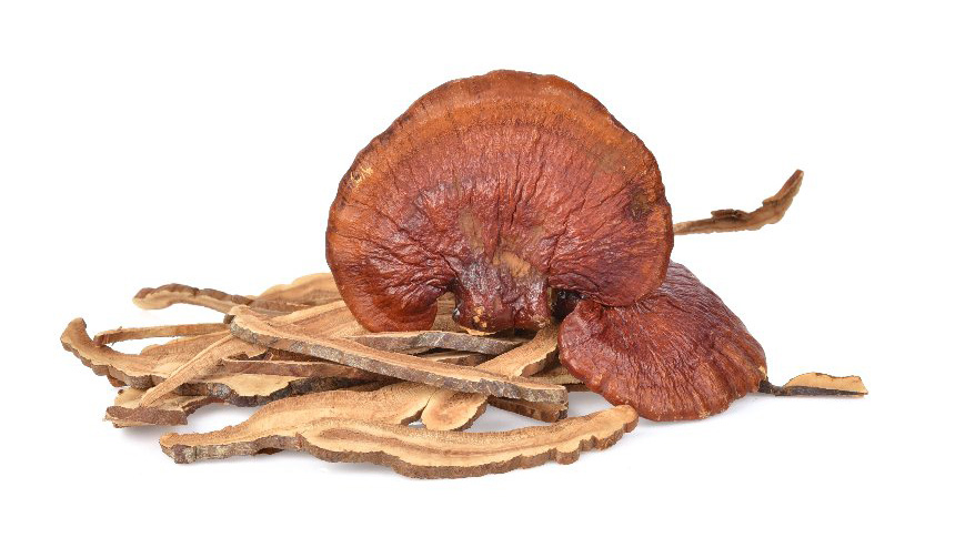 Reishi Pilz (Foto: 123RF, kompor)