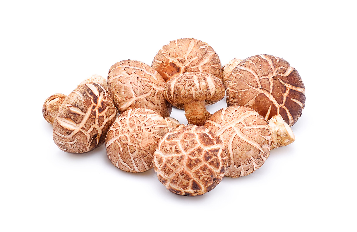 Shiitake Pilz (Foto: 123RF, akepong)