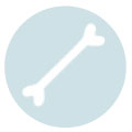 Knochenmark (Illustration: 123RF) Ein Knochen. (Vektor-Grafik)