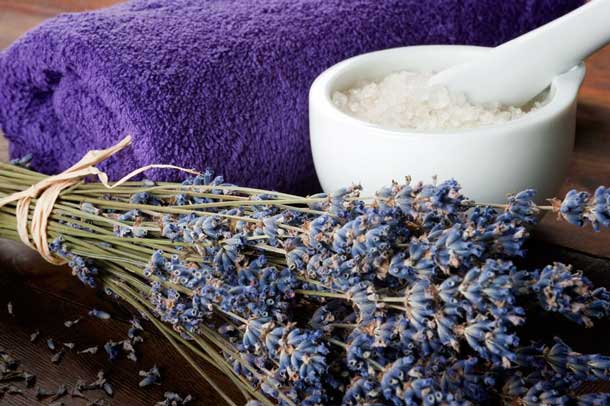 Lavendel beruhigt (Foto: 123RF/P. Grecaud) Lavendel Meersalz