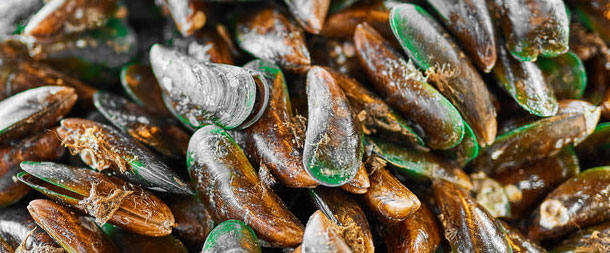 Grünlippmuscheln enthalten entzündungshemmende Omega-3-Fettsäuren und sollen gelenkstärkend sein. (Foto: 123RF, puhhha)
